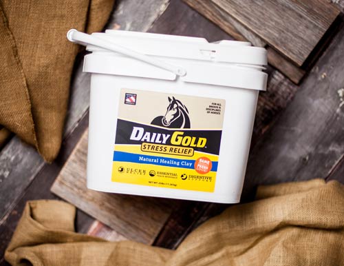Daily-Gold-bucket